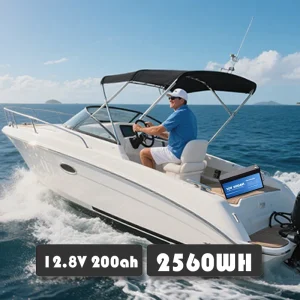 Anern High Quality 2560WH 12V/24V 100Ah LiFePO4 Lithium Battery Built-in BMS for Inverter Motorhome Solar System Boat Household - Thumbnail Image 3