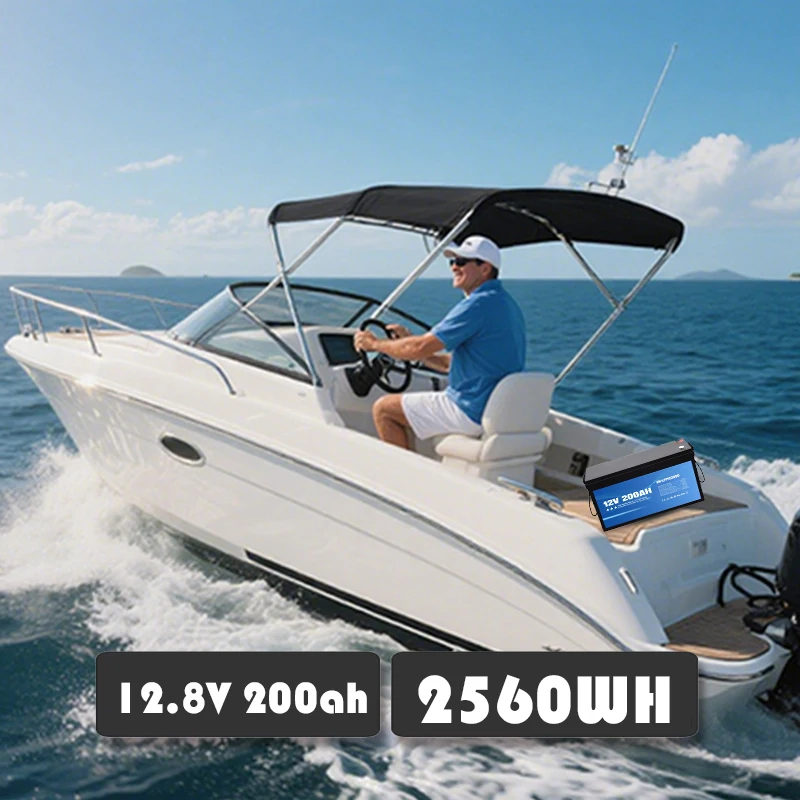 Anern High Quality 2560WH 12V/24V 100Ah LiFePO4 Lithium Battery Built-in BMS for Inverter Motorhome Solar System Boat Household - Image 3